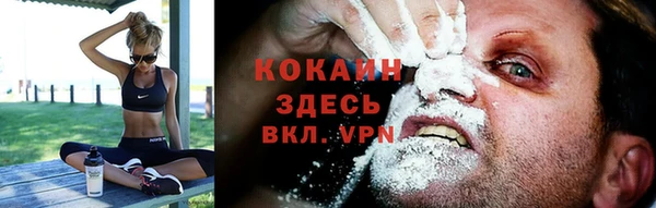 мяу мяу мука Белокуриха