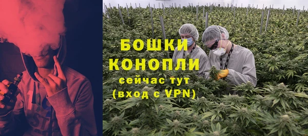 мяу мяу мука Белокуриха