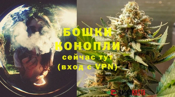 мяу мяу мука Белокуриха