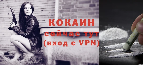 мяу мяу мука Белокуриха