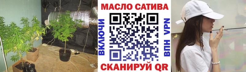 MEGA   купить наркотики цена  Высоцк  Дистиллят ТГК гашишное масло 