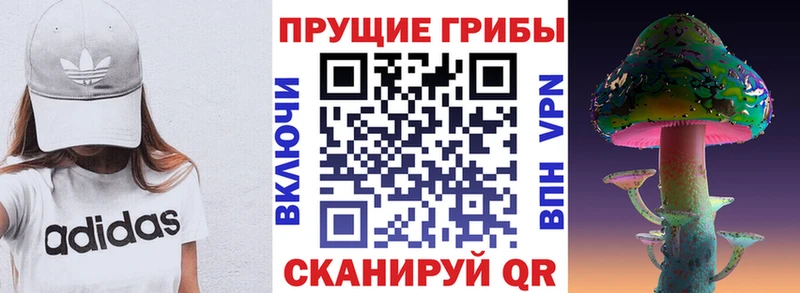 Галлюциногенные грибы MAGIC MUSHROOMS  наркошоп  Высоцк 